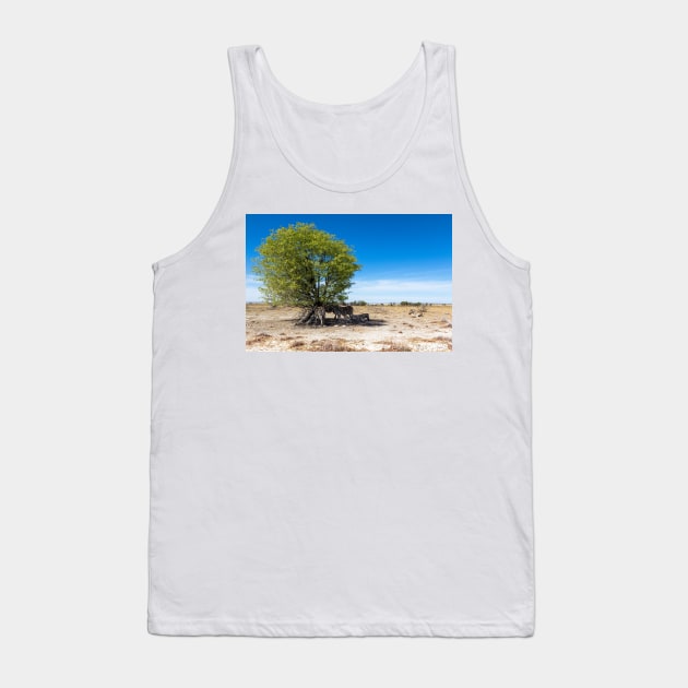 Zebras in the Shadow of the Only Tree - Etosha, Namibia Tank Top by holgermader